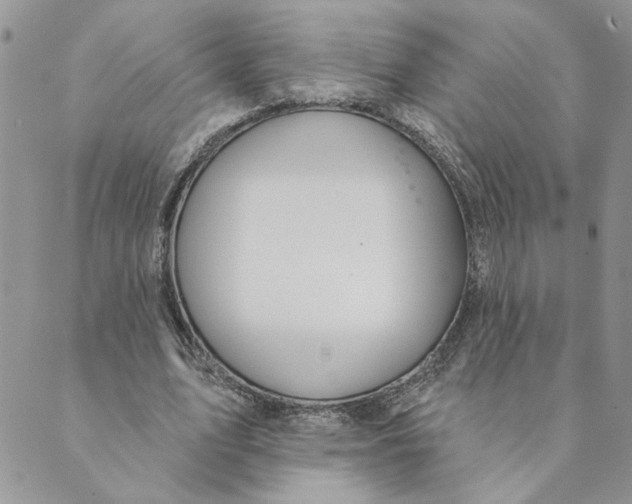 X0000089340583200707061002