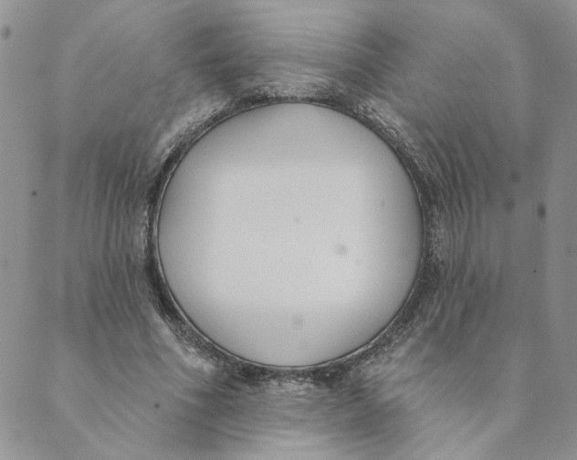 X0000089340586200707061002