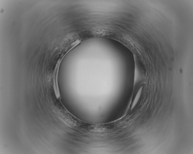 X0000089340601200707061001