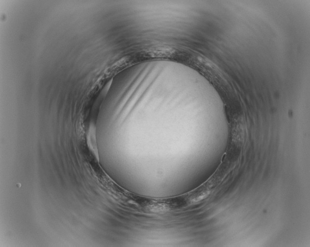 X0000089340604200707061001