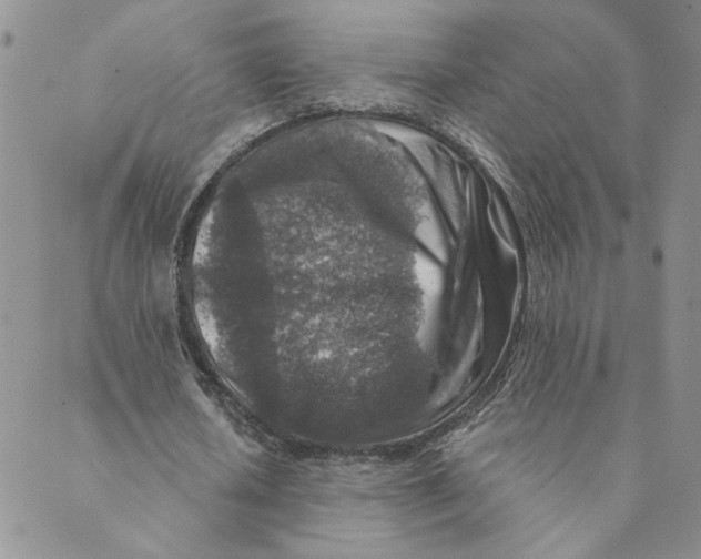 X0000089340626200707061000