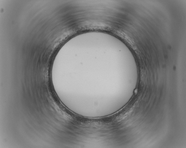 X0000089340629200707061000