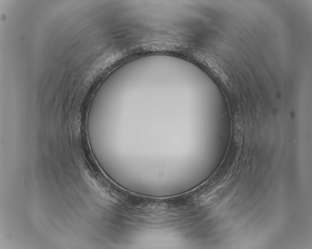X0000089340631200707061000