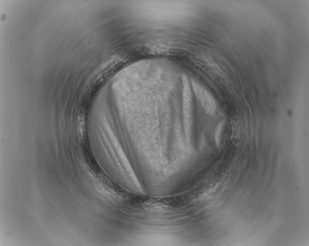 X0000089340648200707061001