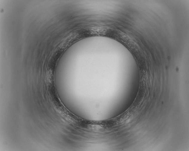X0000089340649200707061001