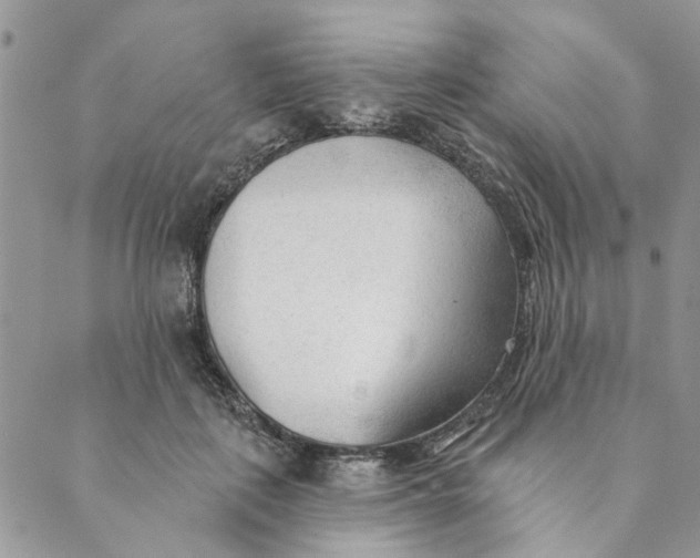 X0000089340651200707061001