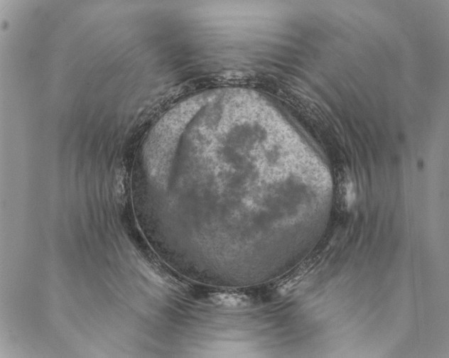 X0000089340654200707061001