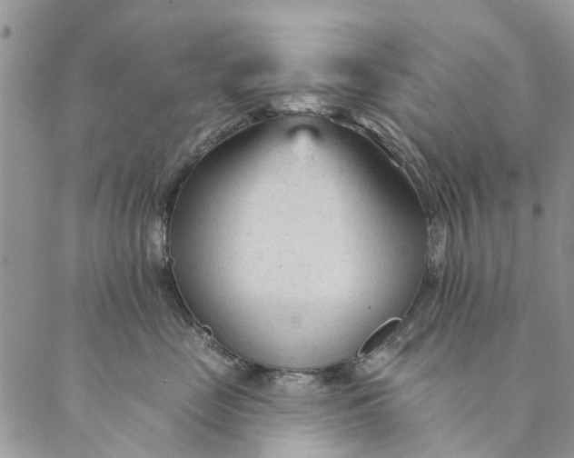 X0000089340669200707061001