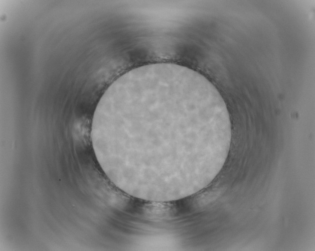 X0000089340672200707061001