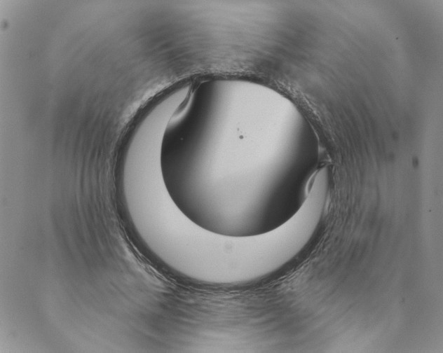 X0000089340684200707061000