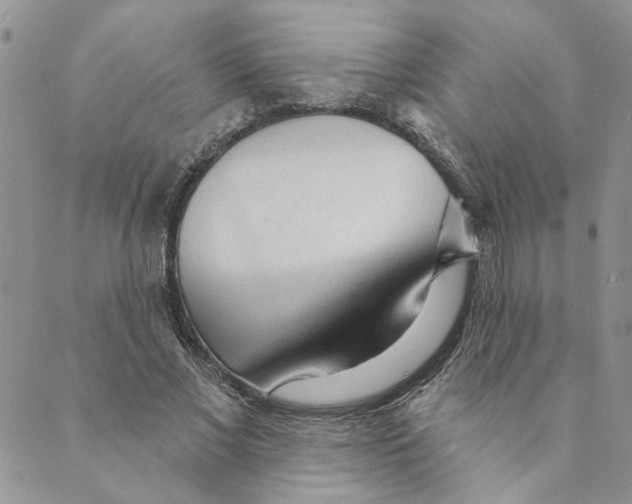 X0000089340685200707061000