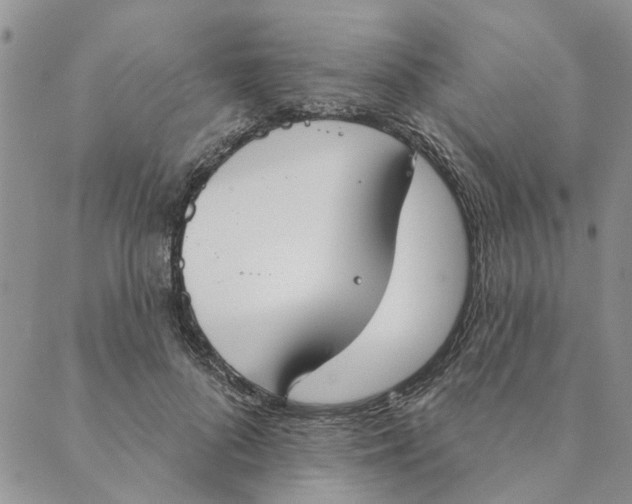 X0000089340696200707061000