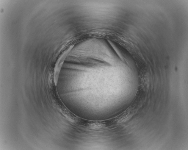 X0000089340708200707061000