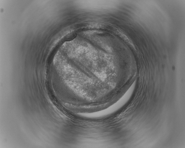 X0000089340722200707060959