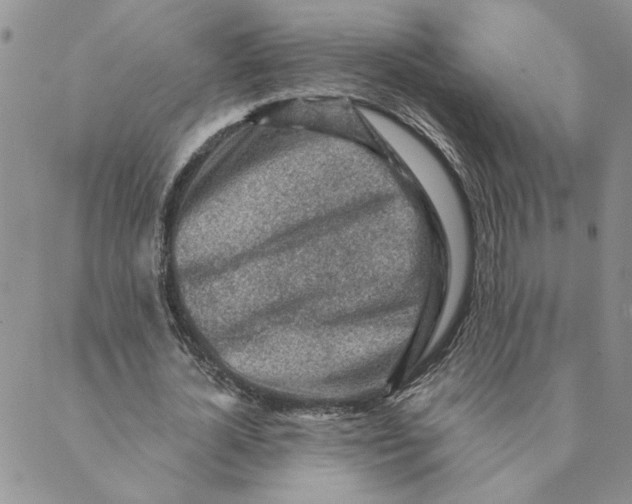 X0000089340724200707060959