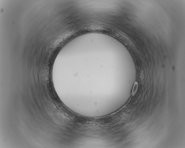 X0000089340732200707060959
