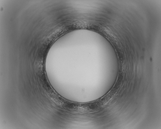 X0000089340737200707060959