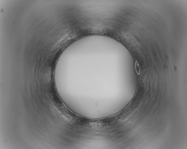 X0000089340744200707060959