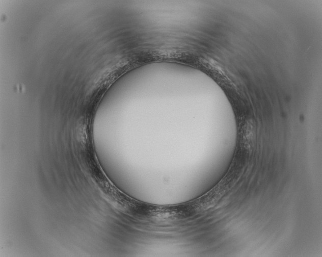 X0000089340746200707060959