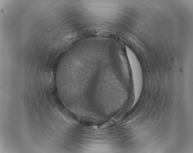 X0000089340748200707060959