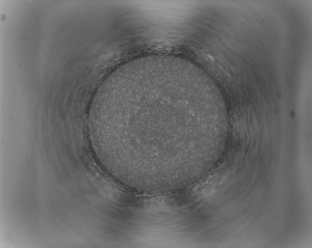 X0000089340769200707060959