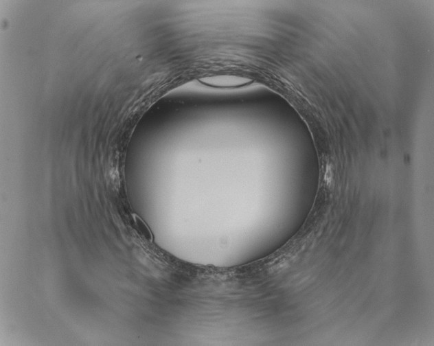 X0000089340771200707060959