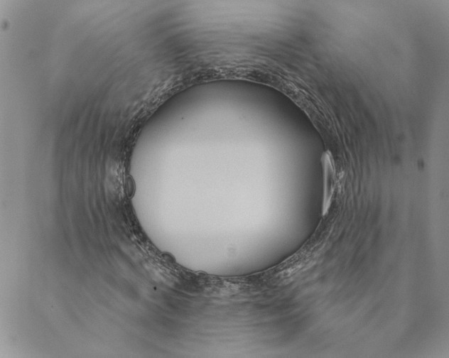 X0000089340772200707060959