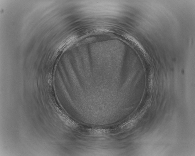 X0000089340785200707060958