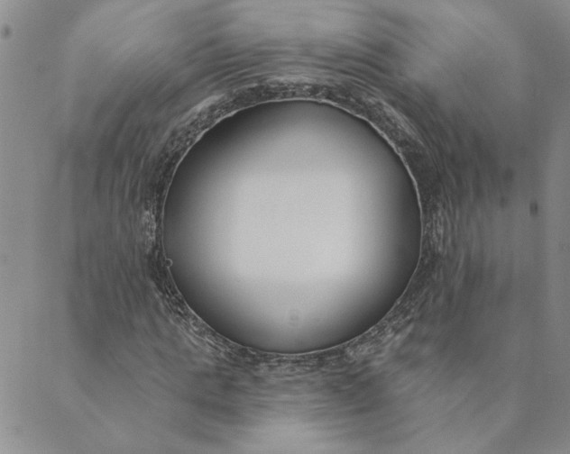X0000089340821200707060957