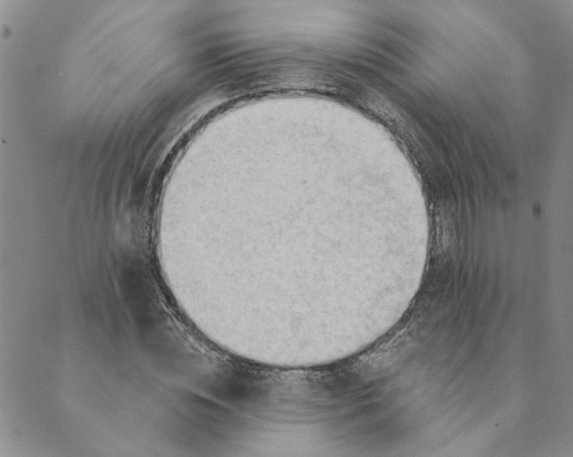 X0000089340828200707060957