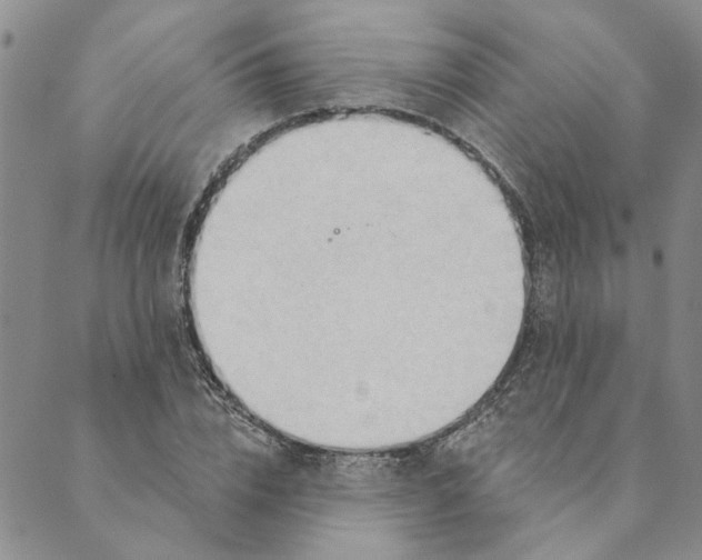 X0000089340832200707060957