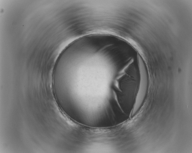 X0000089340862200707060958