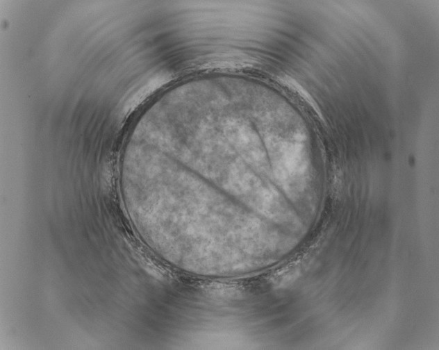 X0000089340874200707060957