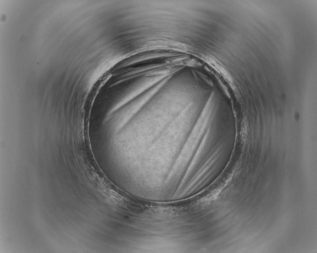 X0000089340877200707060957