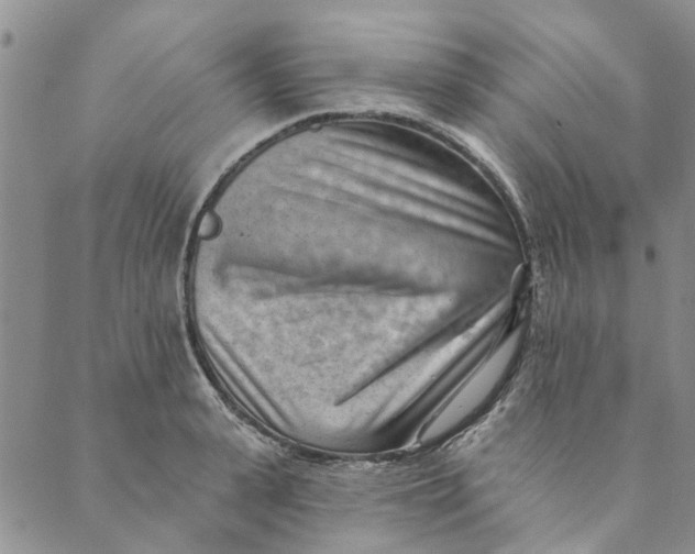 X0000089340943200707060956