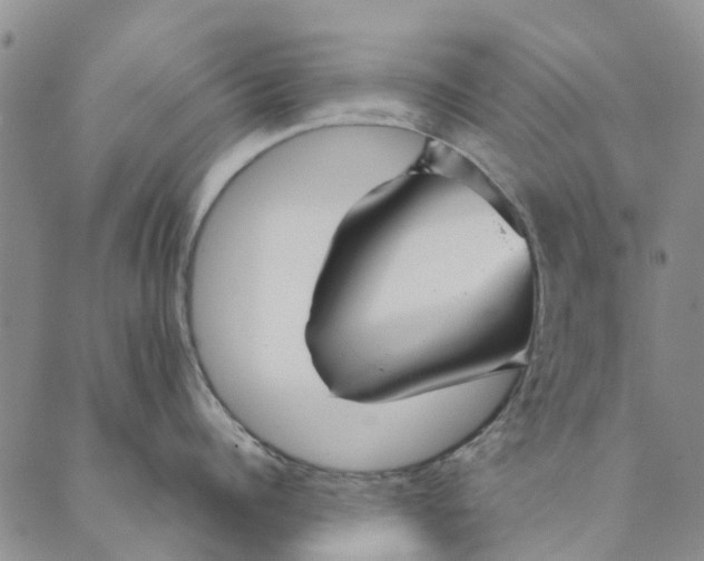 X0000089340960200707060956