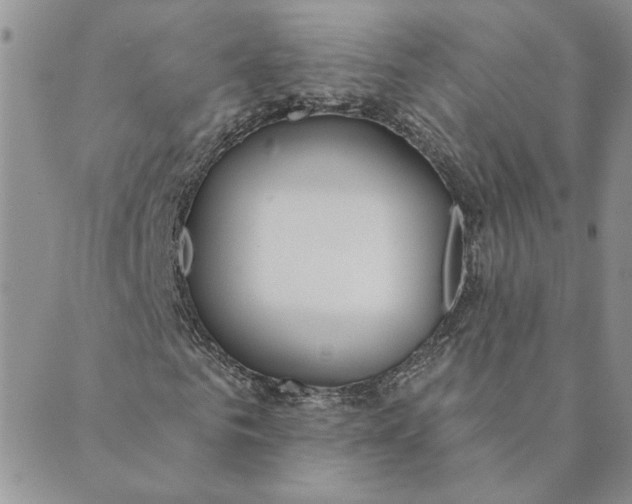 X0000089340961200707060956