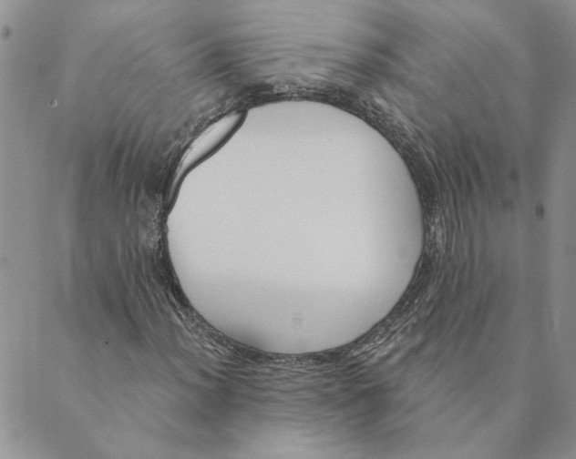 X0000089341012200707060954