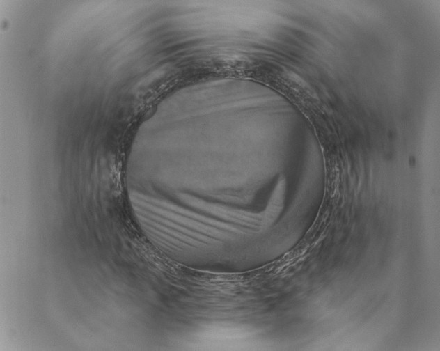 X0000089341013200707060954
