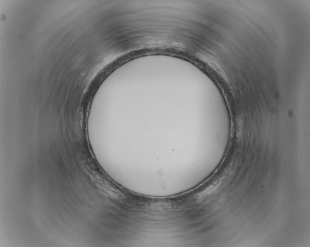 X0000089341021200707060954