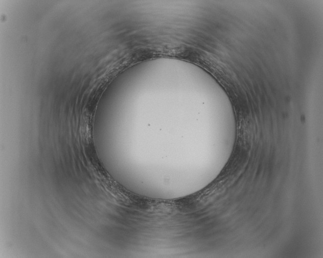 X0000089341058200707060954
