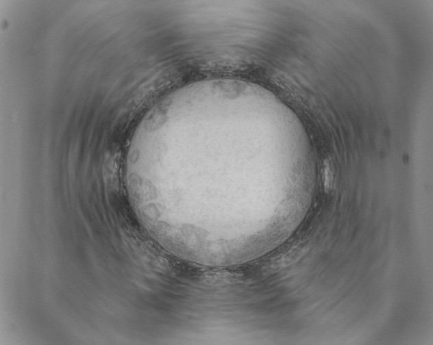 X0000089341059200707060954