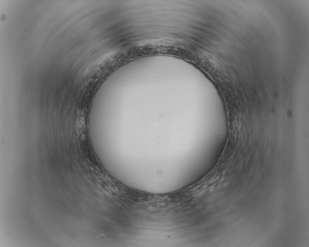 X0000089341062200707060954