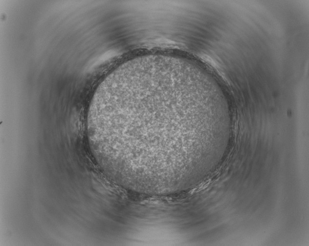 X0000089341063200707060954