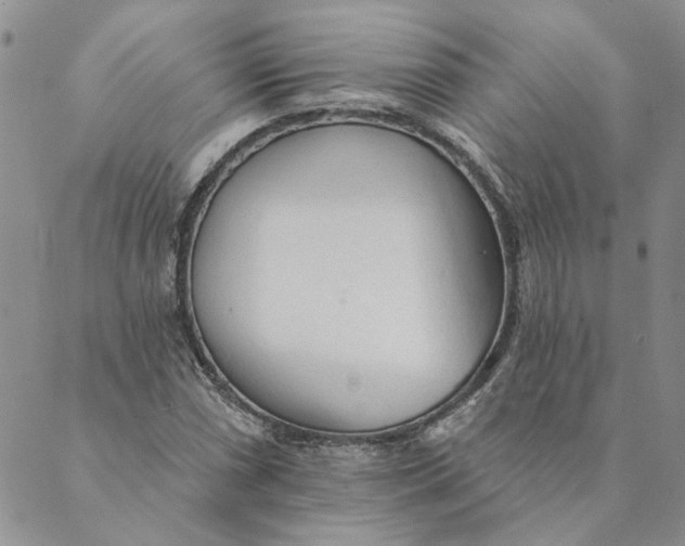 X0000089341066200707060954