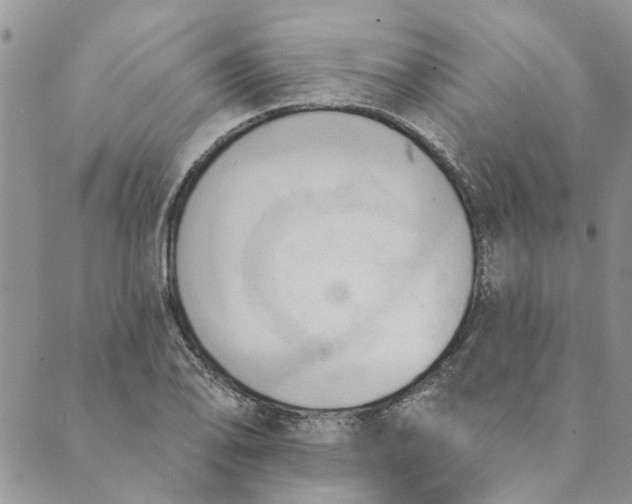 X0000089341078200707060954