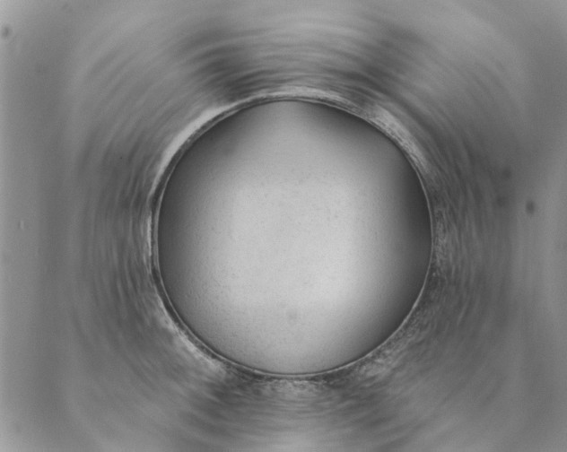 X0000089341092200707060953