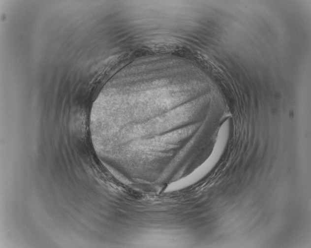 X0000089341108200707060953