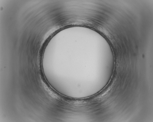 X0000089341122200707060953