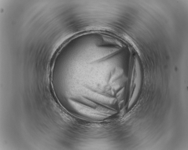 X0000089341124200707060953